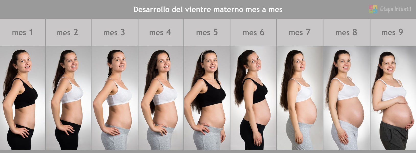 Mes A Mes Como Crece La Barriga Durante El Embarazo Etapa Infantil