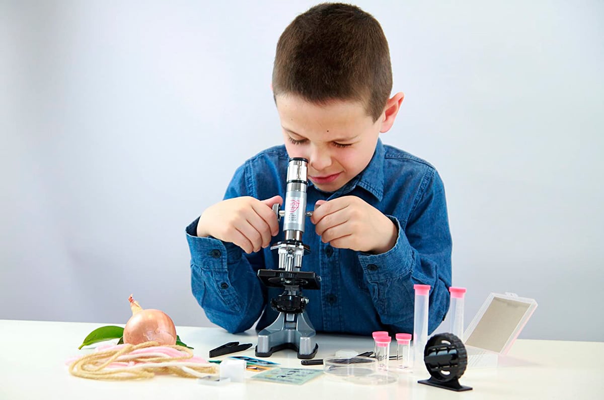 Los Mejores Microscopios Para Ni Os Etapa Infantil